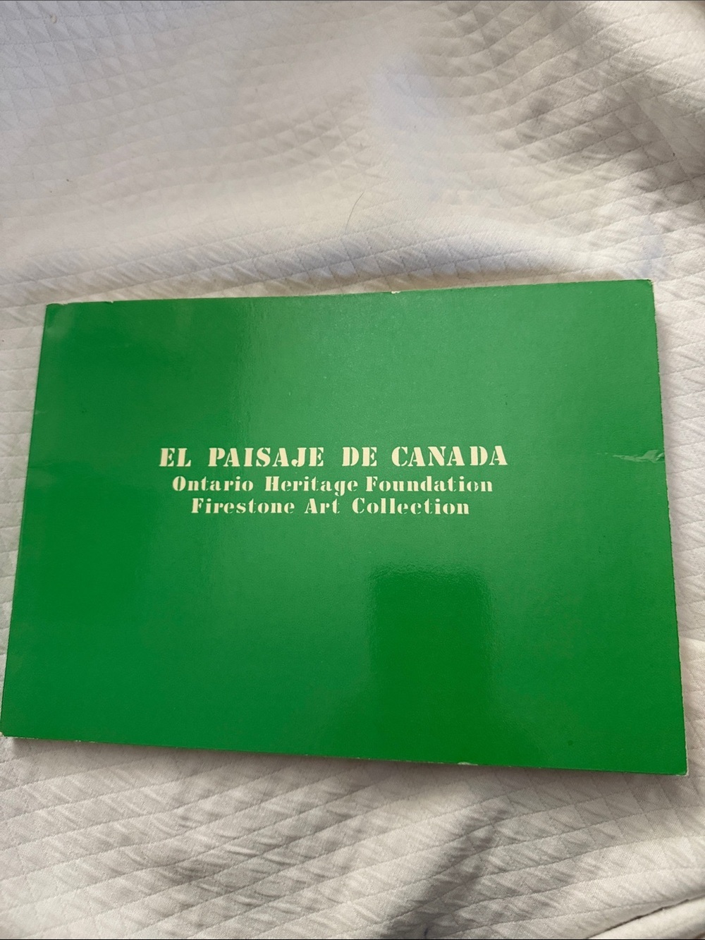 Rare! Vintage 1984 Canadian Art Exhibition Catalogue: "El Paisaje de Canada"